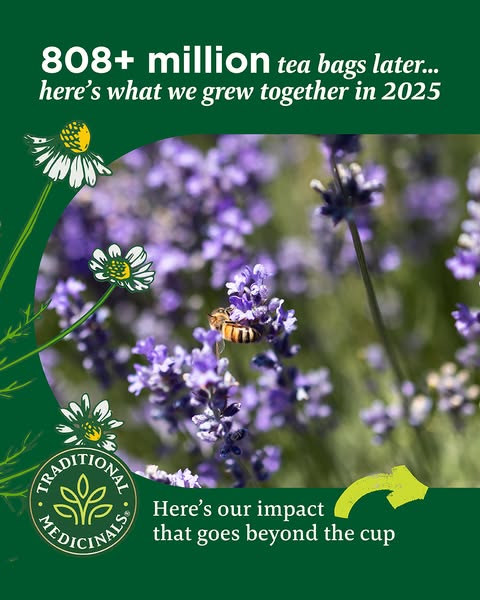 The image ad for Traditional Medicinals highlights the positive environmental impact the brand has made by growing herbs