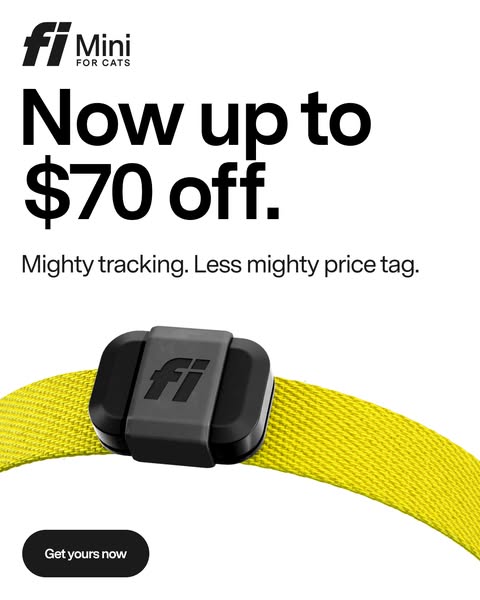 The ad is for Fi Mini cat collars. It highlights the product's features and price.