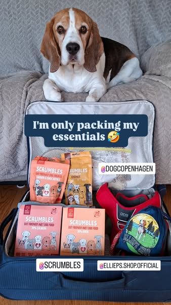 basil_the_beagle.uk ad