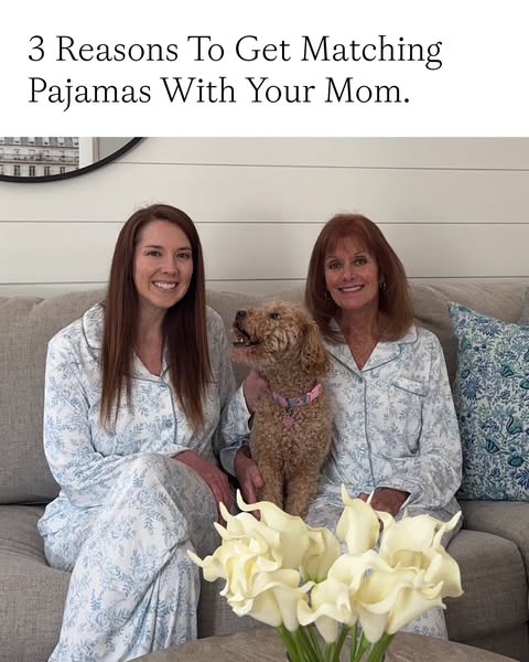 Adventures of a Twin Mom Blog ad