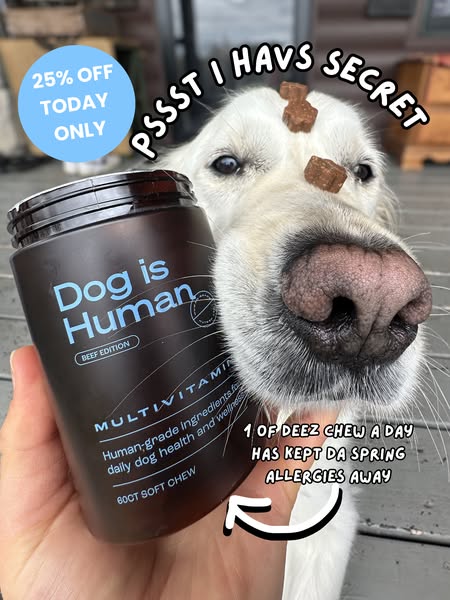 This ad features a dog with three chewable multivitamin treats stacked on their head to promote Dog is Human brand dog v