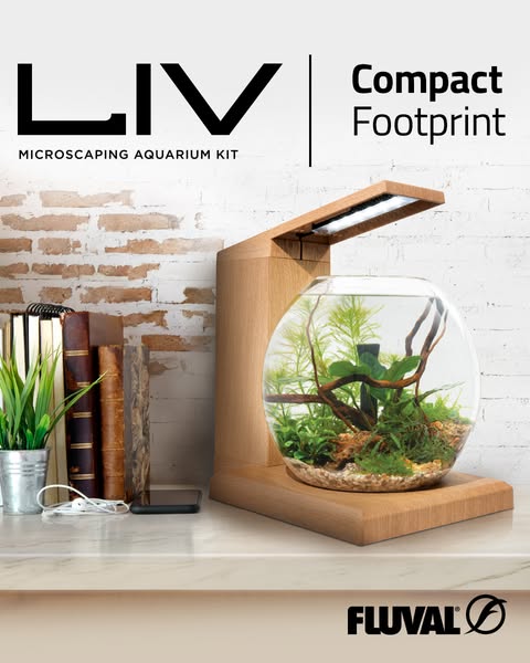 This ad showcases the Fluval LIV, a compact micro-scaping aquarium kit, emphasizing its design and suitability for small