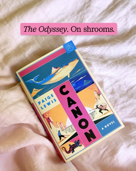This ad features a close-up shot of the novel "Canon" by Paige Lewis, placed on a pale pink, rumpled blanket o