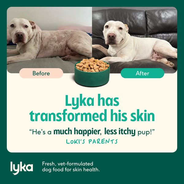 Lyka Pet Food ad