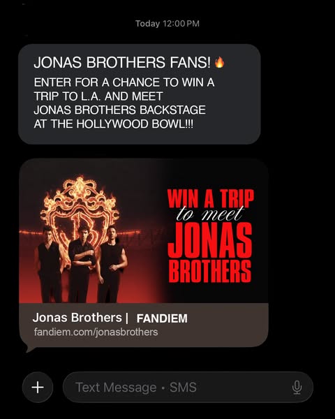 Jonas Brothers ad