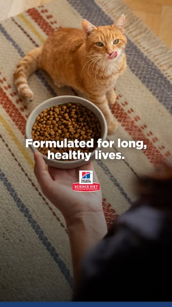 This image ad for Hill's Science Diet cat food features an orange tabby cat looking at a bowl of food being held by 
