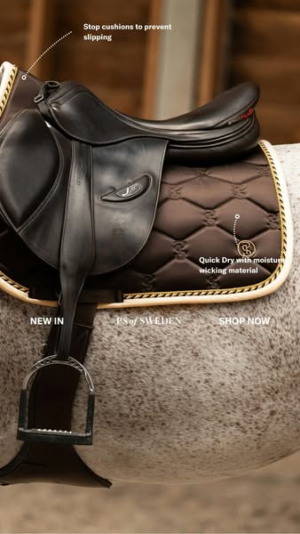 This ad features a close-up of an equestrian saddle on a horse. The ad highlights the key features and benefits of the s
