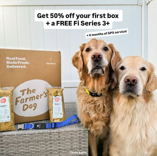 themgoldenboys ad