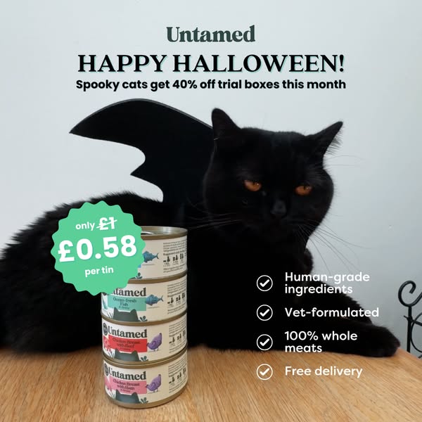 Clementine Meows ad