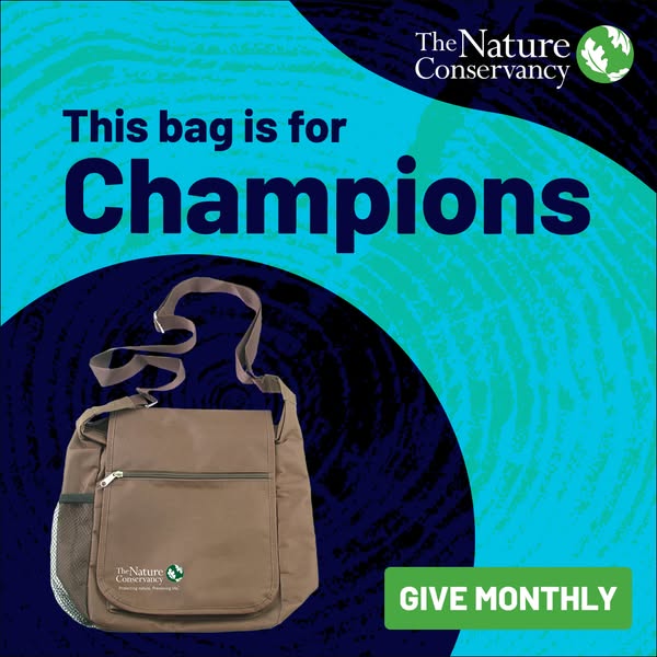 This image ad by The Nature Conservancy promotes monthly donations by offering a branded bag to champions of the cause.