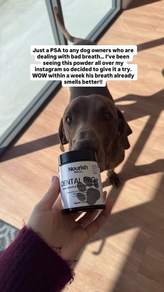 Nourish Pet Co. ad