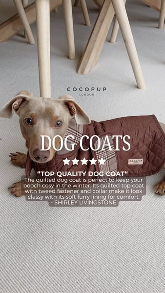This ad features a dog wearing a Cocopup dog coat. The ad includes a testimonial from a customer, Shirley Livingstone, w