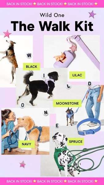 This ad for Wild One features their Walk Kit in an image highlighting multiple colors of the product being modeled by do