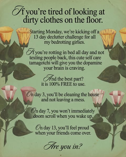 This ad promotes a 13-day declutter challenge for people who spend a lot of time in bed. It highlights the benefits of t