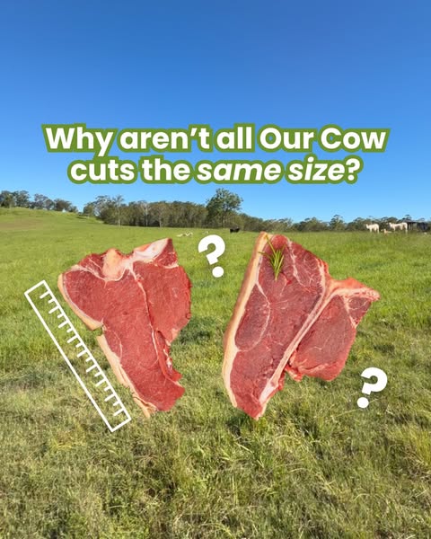 OUR COW ad