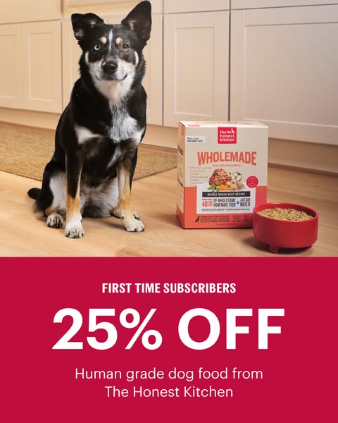 This ad for The Honest Kitchen features a dog sitting next to a box of Wholemade dog food and a bowl of the food. The ad