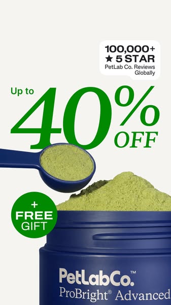 This image ad for PetLab Co.'s ProBright Advanced promotes a discount of up to 40% off and a free gift with purchase
