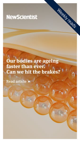 New Scientist ad