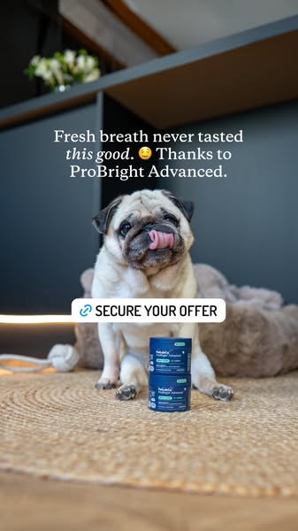 Puggy Smalls ad