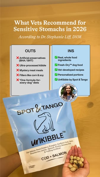 Spot & Tango ad