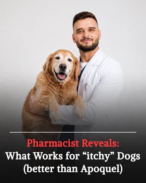 Dr. Jesse Ropat ad