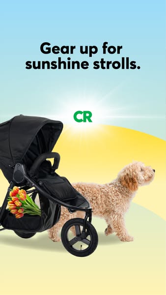 This ad features a stroller with a dog, with the tagline "Gear up for sunshine strolls." It targets parents lo