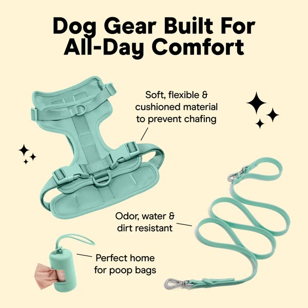 This image ad showcases dog gear designed for all-day comfort. It highlights the soft, flexible, and cushioned material 