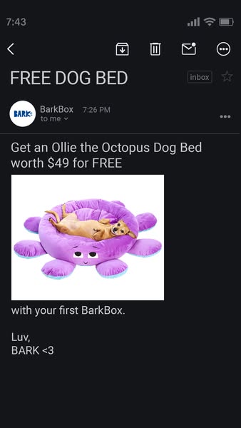 This email ad from BarkBox promotes a free 'Ollie the Octopus' dog bed, valued at $49, with the purchase of a fi