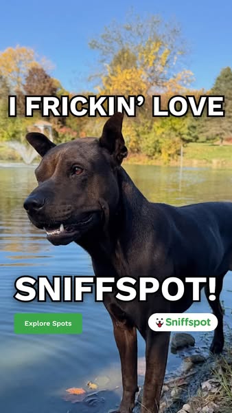 This ad uses a photo of a black dog standing in a pond to promote the Sniffspot app. The headline communicates the user&