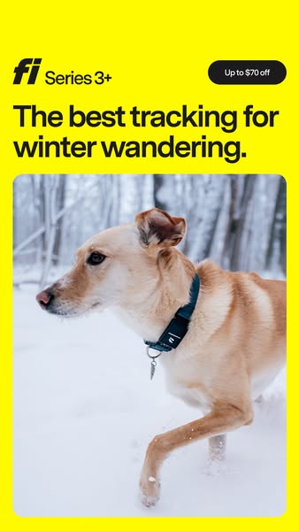 This image ad for Fi Series 3+ dog trackers highlights the product's utility for winter activities. It features a do