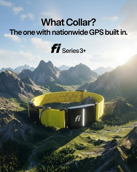 The ad features the Fi Series 3+ dog collar. The image shows a yellow dog collar in the center of the frame with a mount