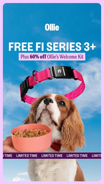 This ad for Ollie dog food features a dog looking upward while someone holds a bowl of Ollie dog food. The ad promotes a