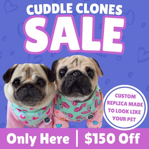 This ad for Cuddle Clones features two pugs wearing custom-made outfits and advertises a sale on custom replicas made to