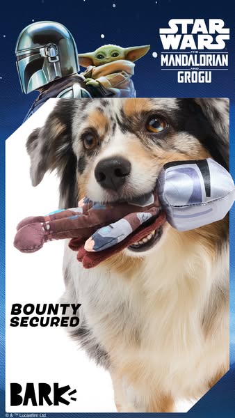 An ad for a BarkBox Star Wars Mandalorian Grogu dog toy, featuring a dog holding the toy in its mouth.