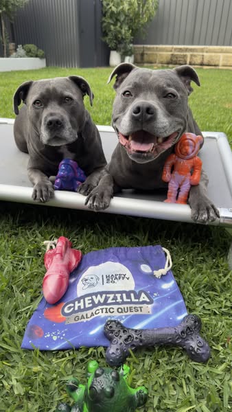 Archie & Ollie ad