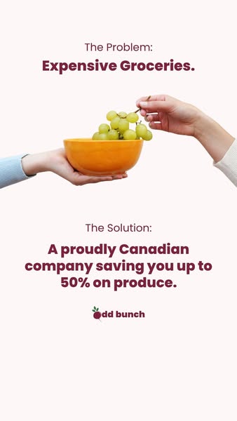 This is an image ad that highlights the high cost of groceries as the problem and positions Odd Bunch as the solution, s