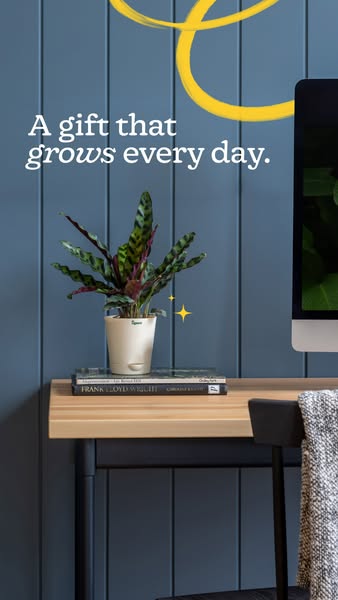 An image ad featuring a plant from the brand, The sill. The ad is for gifting a plant and has the copy, 'A gift that