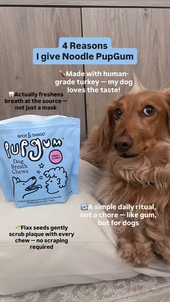 Noodleyorkcity ad