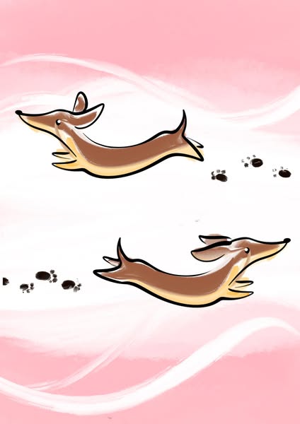 Knackidog  ad