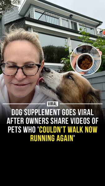 This ad promotes a dog supplement that has gone viral after owners shared videos of their pets who couldn't walk now