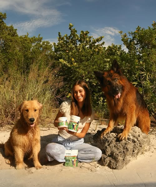 apollo_germanshepherd ad