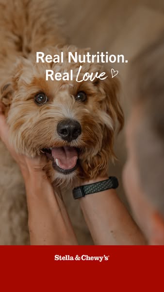 This ad for Stella & Chewy's dog food features a close-up of a light brown, fluffy dog being lovingly cradled by
