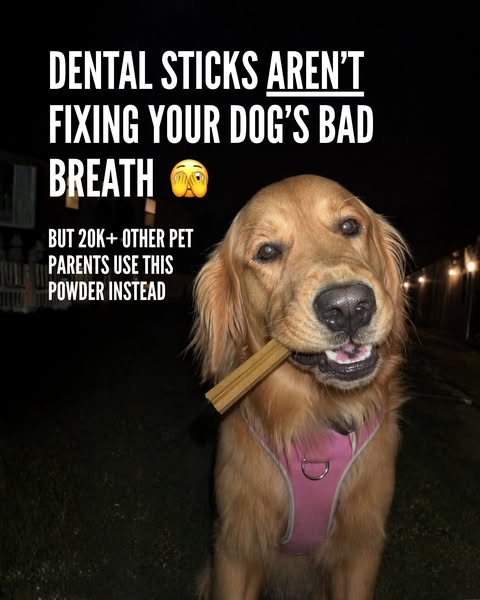 Nourish Pet Co. ad