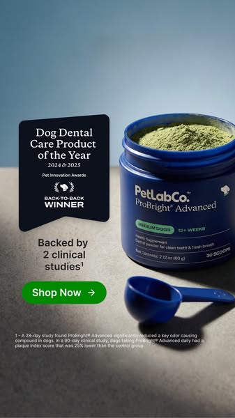 This ad promotes PetLab Co.'s ProBright Advanced dental powder for dogs, highlighting its award-winning status and c