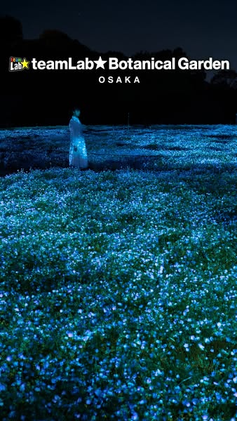 This image promotes the TeamLab Botanical Garden in Osaka at night, featuring an illuminated field of flowers and a sing