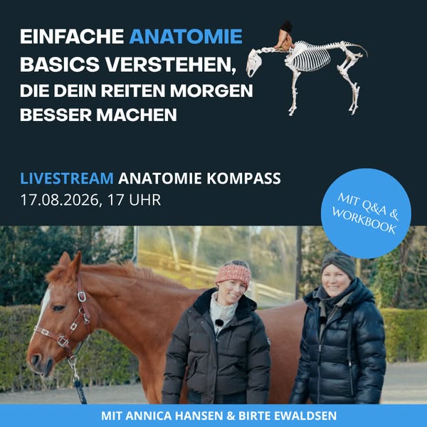 Annica Hansen ad