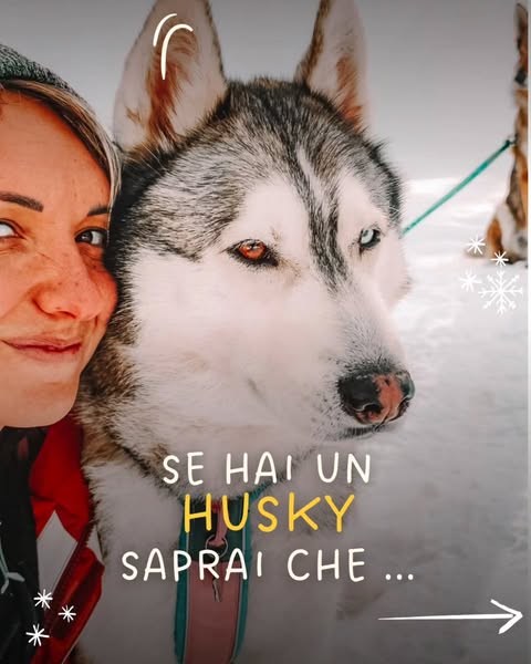 Donnecheviaggianocoilupi ad