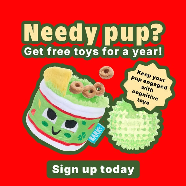 This image ad promotes Bark dog toys, offering a year of free toys for new sign-ups. It features two plush toys, one res