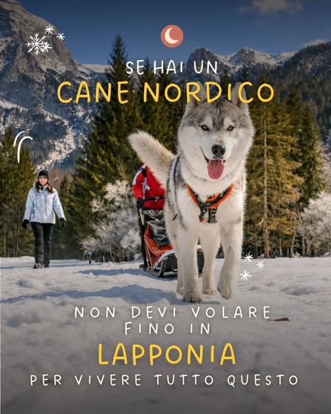 Donnecheviaggianocoilupi ad
