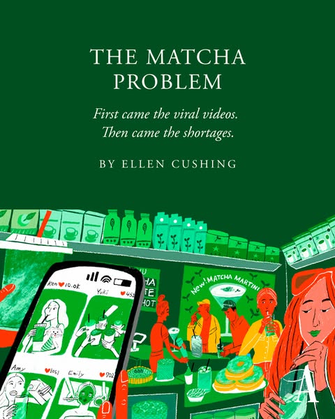 Editorial-style illustration about the recent matcha shortage due to viral videos.